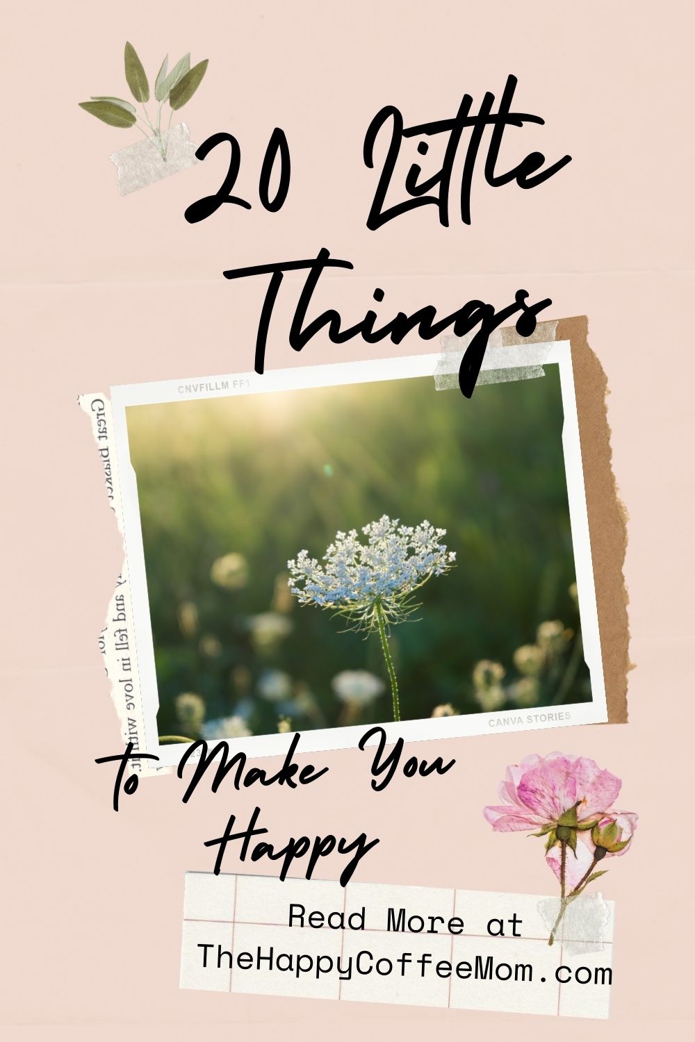 20 Little Things in Life to Make You Happy