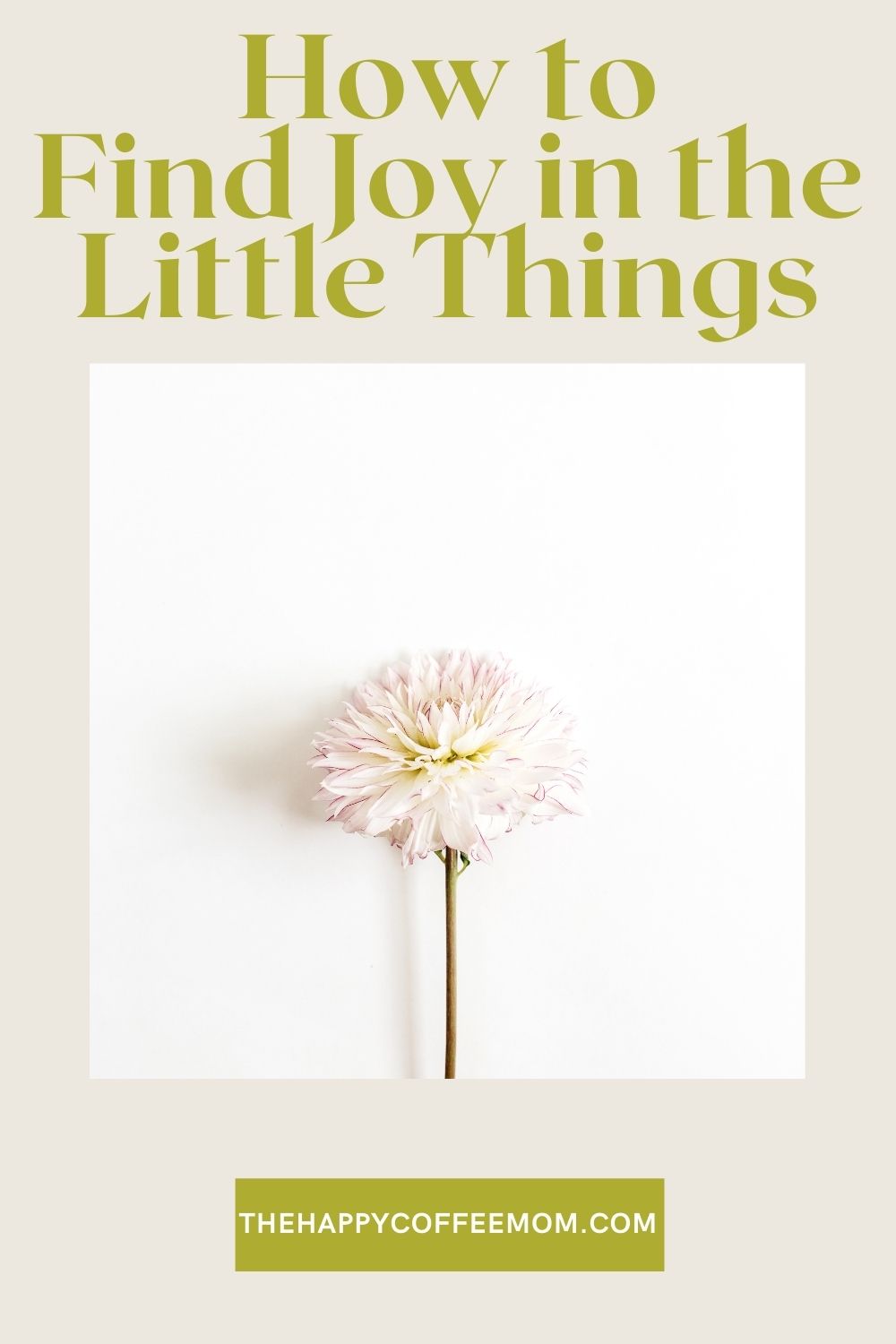 How to Find Joy in the Little Things in Life